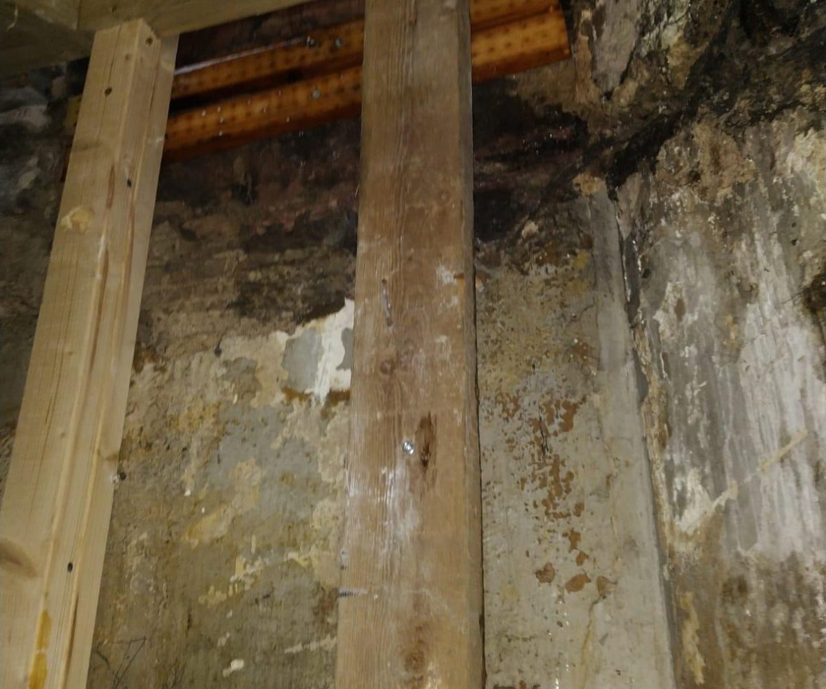 WhatsApp Image 2026-01-01 at 9.07.02 PM (1)